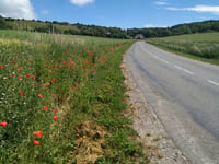 Côte de Journy