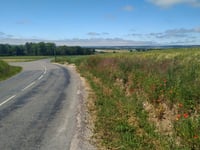 Côte de Journy