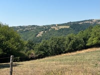 Côte de la Bastide d'Aubrac