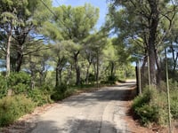 Côte de La Ciotat via Chemin des Plaines Marines