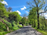 Côte de la Roche-en-Ardenne