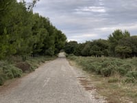 Côte de la Télévision von Septèmes les Vallons
