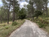 Côte de la Télévision von Septèmes les Vallons