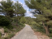 Côte de la Télévision von Septèmes les Vallons