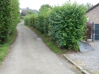 Côte de Lambermont via Rue du Wasay
