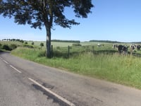 Côte de Lebiez
