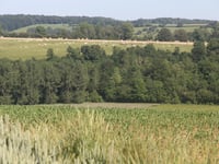 Côte de Lebiez