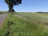 Côte de Lebiez