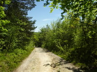 Côte de Marbotte
