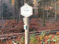 Côte de Menil-Favay / Sur Waha via Bois de Grimbièmont