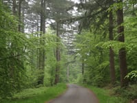 Côte de Menil-Favay / Sur Waha von Hampteau