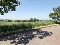 Côte de Mortier via Route de Blegny