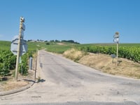 Côte de Mutigny von Avenay-Val-d'Or