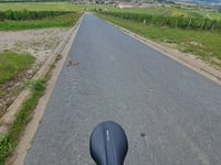 Côte de Mutigny von Ay