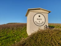 Côte de Mutigny von Ay