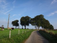 Côte de Ligneuville von Pont