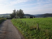 Côte de Ligneuville von Pont