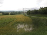 Côte de Quendal von Quesques