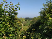 Côte de Rupembert from Le Denacre