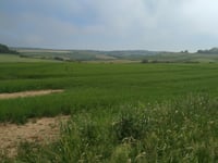 Côte de Rupembert von Wimille