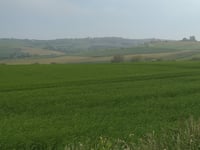 Côte de Rupembert von Wimille