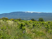 Côte de Saint-Hubert