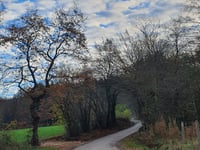 Côte de Sarpay desde Viaduc de Polleur
