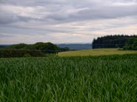 Côte de Savelborn z Emsdorf