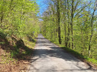 Côte de Strivay da Esneux