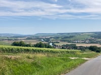 Côte de Trotte