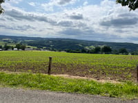 Côte de Wanne