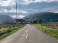 Côte des Cinq Châteaux from Wintzenheim