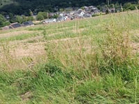 Côte des Mulets from Landelies