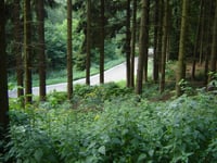 Côte des Trois Frontières
