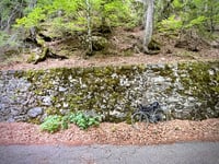 Côte des Vanches