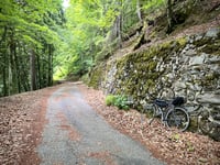 Côte des Vanches