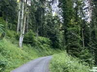 Côte du Bois de Lionge