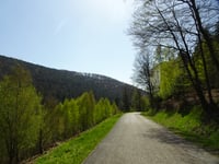 Côte du Château de Flenckenstein