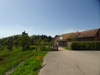 Côte du Château de Flenckenstein