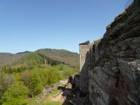 Côte du Château de Flenckenstein