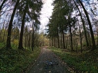 Côte du Chemin de Mons von Houdain les Bavay