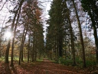 Côte du Chemin de Mons von Houdain les Bavay