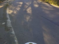 Côte du Rocher de l'Impératrice - Mur du Passage