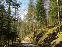 Côte du Saut du Doubs por Les Vions