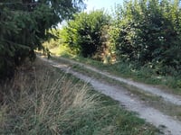 Côte du Vientin z La Combe