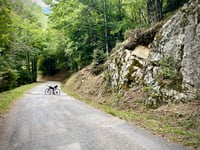 Côte de la Pussy