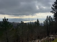 Coto Redondo von Balteiro