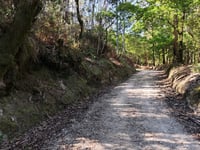 Cotón Negro von Augapesada über Bosque de Ovellas