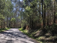 Cotón Negro depuis Augapesada