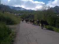 Coulouvreuse / Montée aux Aiguilles d’Arves